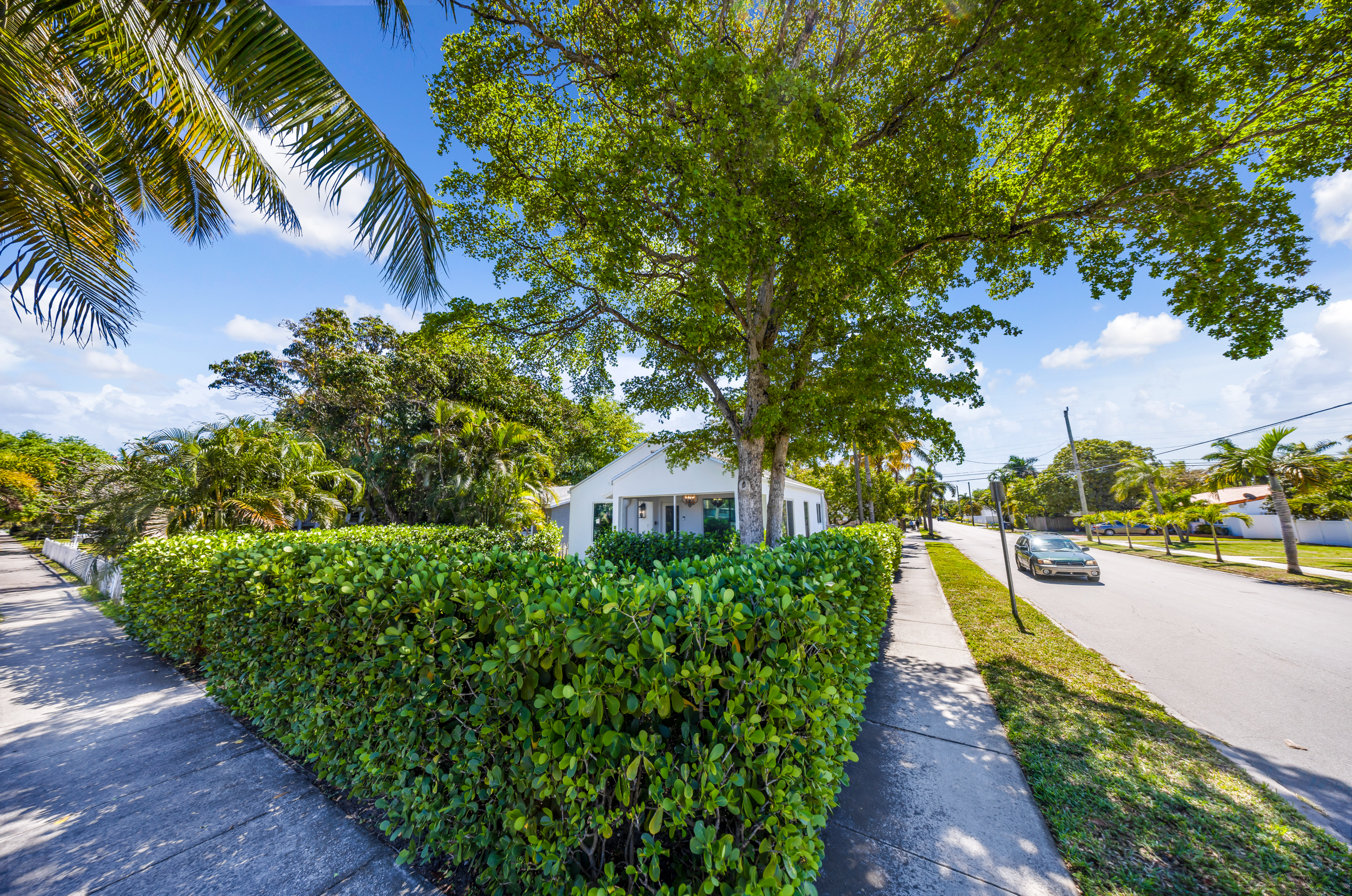 1556 Jefferson st hollywood-Jimena-31
